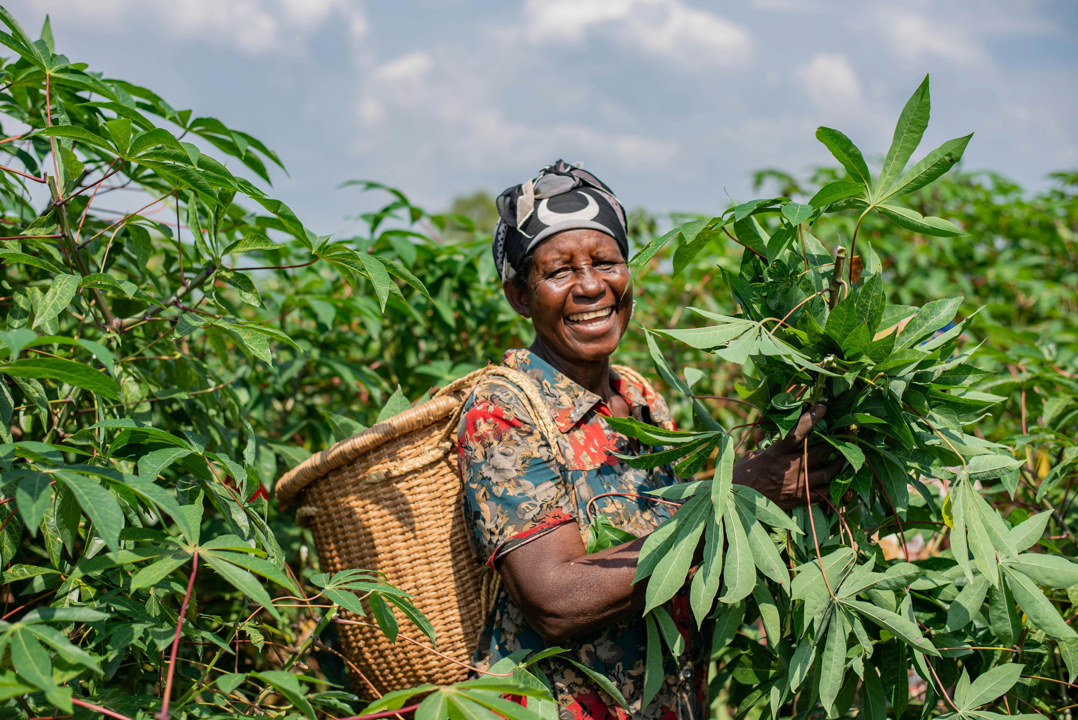 African farmer